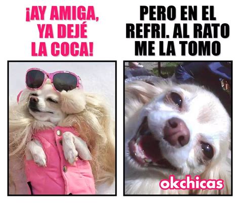 Ay Amiga Ya Dej La Coca Pero En El Refri Al Rato Me La Tomo Memes