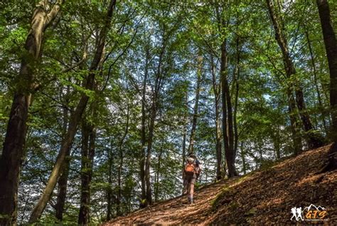 Liburan Di Wisata Sentul Bogor Nikmati Keindahan Alam Dan Sejarahnya