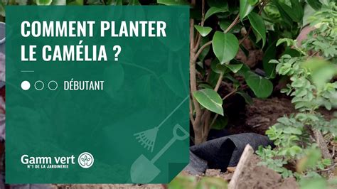 Tuto Comment Planter Le Cam Lia Jardinerie Gamm Vert Youtube