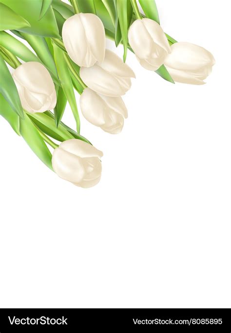 Tulips Decorative Background Eps Royalty Free Vector