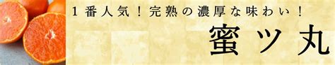 【楽天市場】こだわり栽培で育てたおみかんを販売する農家直営ショップです：こだわり農家のお蜜柑屋楽天市場店 トップページ