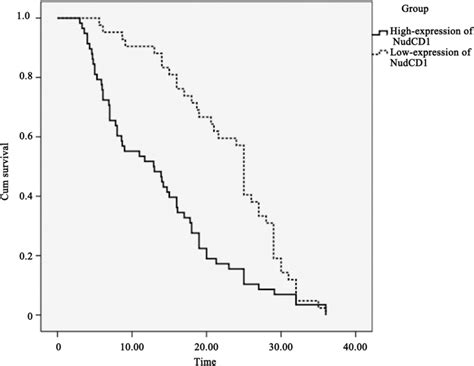 The Kaplan Meier Survival Curves Of Patients With Colorectal Cancer