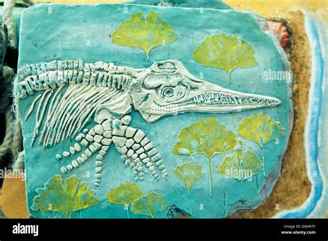 Reino De Los Dinosaurios Fotografías E Imágenes De Alta Resolución Alamy