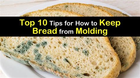 Types Of Bread Mold