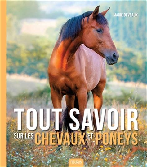 Tout Savoir Sur Les Chevaux Et Poneys Distribution Prologue