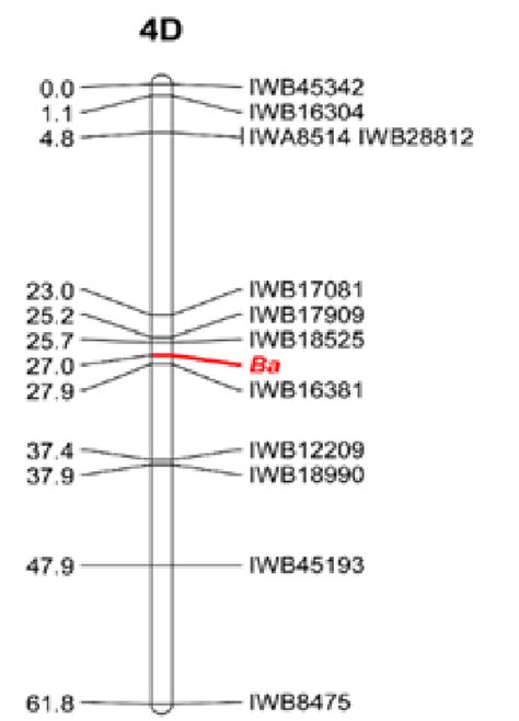 A Diagrammatic Representation Of The 4d Chromosome Showing The Download Scientific Diagram