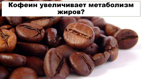 Кофеин увеличивает метаболизм жиров? - YouTube