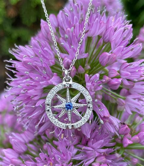 Genuine Blue Sapphire And Diamond Compass Rose 14k White Gold Pendant On