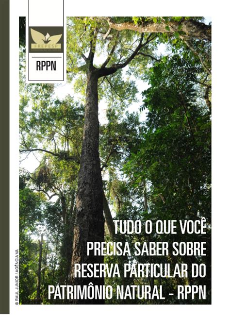 Estado de São Paulo comemora novas áreas protegidas privadas na Mata