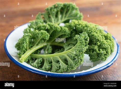 Fresh Kale Leaves From The Garden Stock Photo Alamy