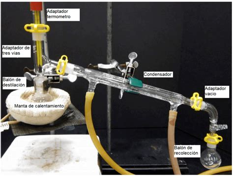 Destilación de aceites esenciales por arrastre de vapor guía completa