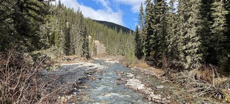 Cascade Amphitheatre, Alberta, Canada - 760 Reviews, Map | AllTrails