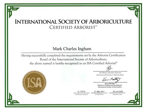 Certified Arborist Marks Tree Care