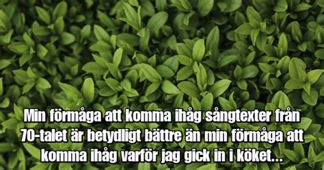 Min F Rm Ga Att Komma Ih G Sk Mt Och De B Sta Roliga Bilderna