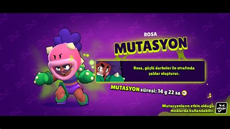 Brawl Stars Nita Gameplay Youtube