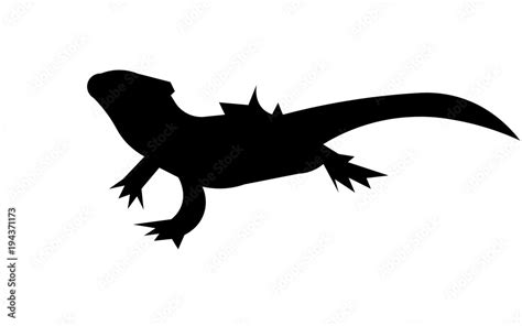 Bearded Dragon Silhouette On White Background Stock Vector Adobe Stock