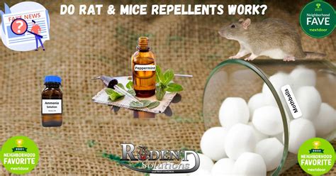 Do Rat Mice Repellents Work