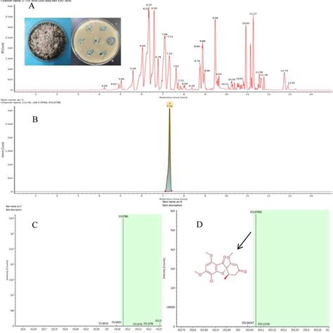 Representative Base Peak Ion Chromatograms Of Strain F8047 Ethyl