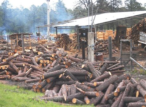 A La Baja Actividad Forestal Advierten