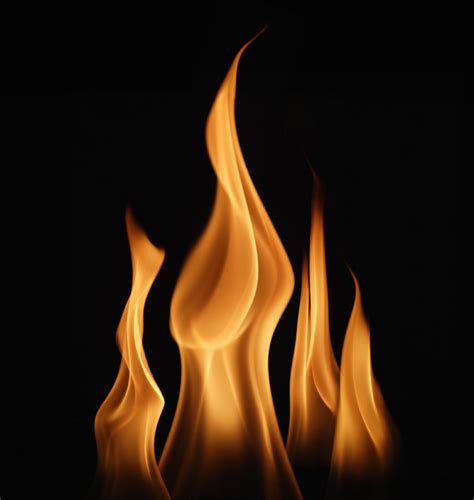 flames  fire  paul taylor