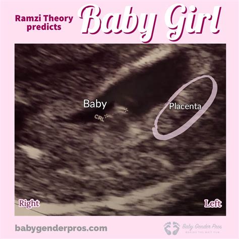 Ramzi Theory Gender Prediction