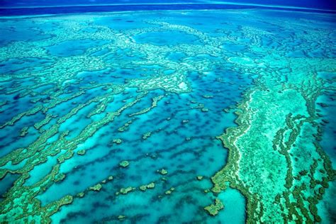 10 The Great Barrier Reef Is The Only Living Thing Visible From Space Mediafeed