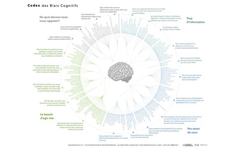 Codex Des Biais Cognitifs Onopia