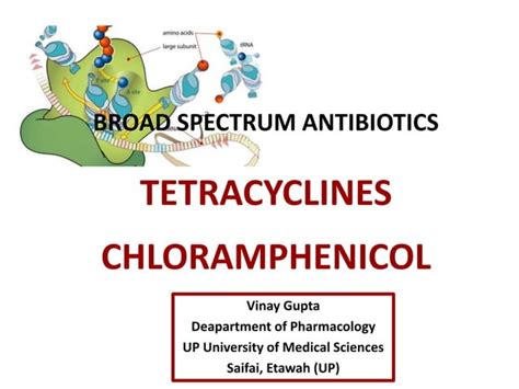 Tetracycline Chloramphenicol Vinay Gupta Ppt