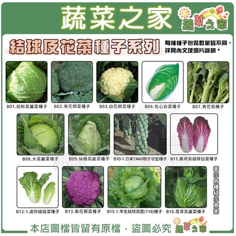 【蔬菜之家滿額免運】結球及花菜類種子系列各種包裝數量詳見內文及圖片花椰菜 青花菜 青花椰菜 結球萵苣 高麗菜 美生菜 蝦皮購物