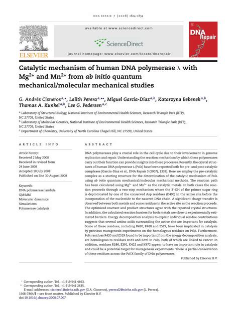 PDF Catalytic mechanism of human DNA polymerase λ with Mg2 and Mn2