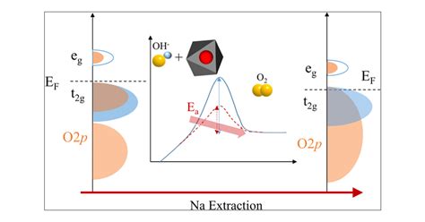 Electrochemical Insight Into Naxcoo For The Oxygen Evolution Reaction