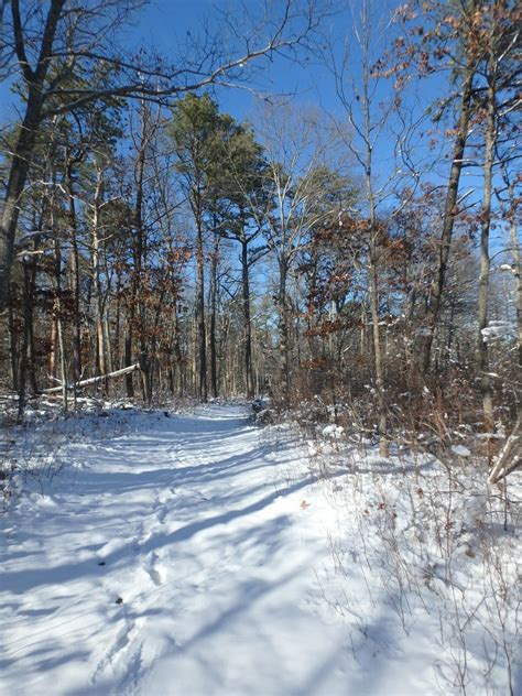 Southaven County Park Skiing Flickr