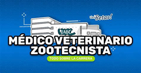 Estudiar Médico Veterinario En La Uabc Puntaje Requisitos Sedes