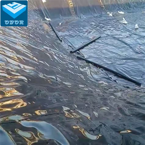 Virgin Plastic Sheet Hdpe Geomembrane Fish Farm Pond China Hdpe