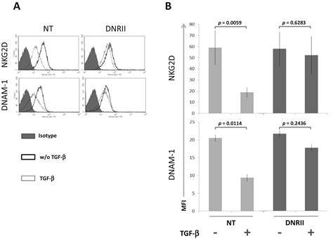 Cord Blood Natural Killer Cells Expressing A Dominant Negative Tgf β