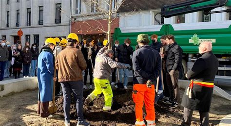 Ixelles Un Arbre A T Plant En Souvenir De La Jeune Rosa D C D E