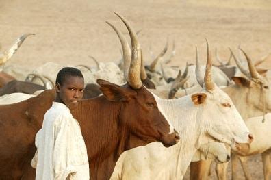 A Short History of Watusi Cattle | World Watusi Association