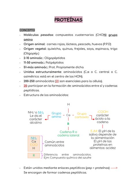 Solution Bioqu Mica De Las Prote Nas Studypool