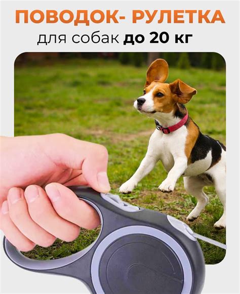 Поводок для собак, рулетка для мелких и средних щенков (до 20 кг 5 ...