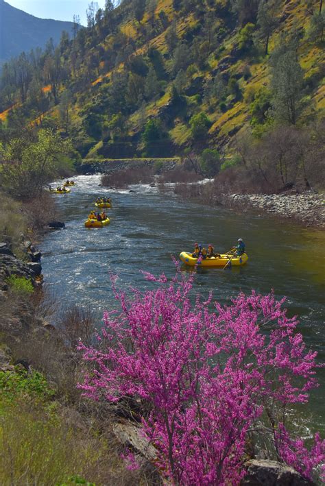 Merced River Rafting Near Yosemite Zephyr Whitewater Rafting