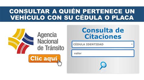 Consultar a quién pertenece un vehículo con su cédula o placa 2025