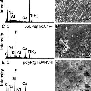 Surface Roughness Of The Titanium Alloy Discs A C And E In