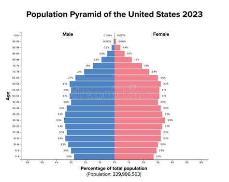 Population Pyramid of the United States 2023, Age Structure Diagram Stock Vector - Illustration ...