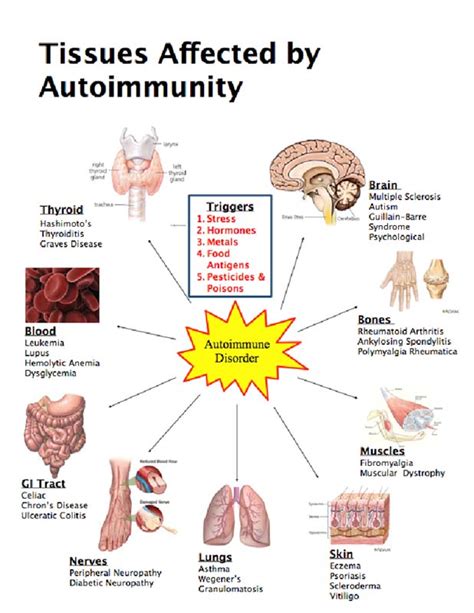 30 Diseases That Inflammation Could Potentially Be Triggering And What