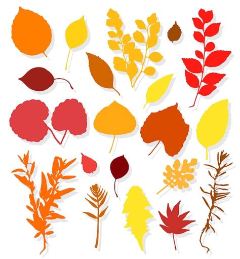 Premium Vector Colorful Autumn Leaves Set On White Background Vector