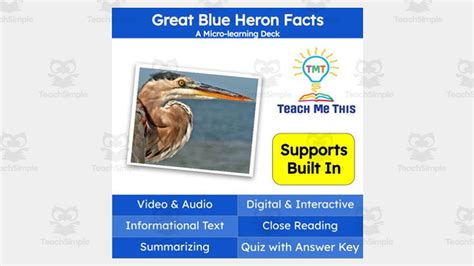 Great Blue Heron Interactive Science Lesson Micro Learning Deck By