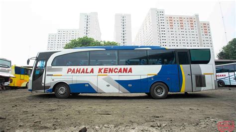 Detail Gambar Bus Pahala Kencana Koleksi Nomer