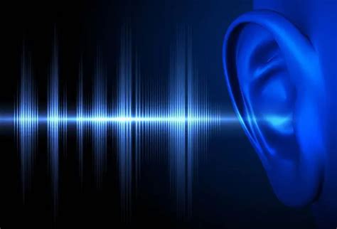 noise    noise pollution