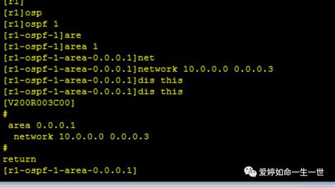 华为路由技术：ospf Router Id优先级顺序深入详解 墨天轮