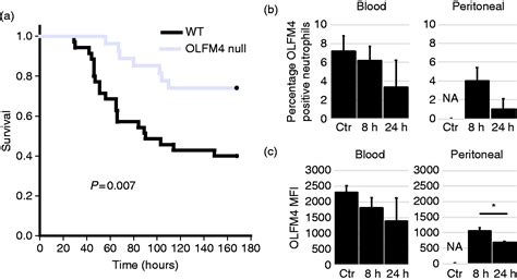 Olfactomedin 4 Marks A Subset Of Neutrophils In Mice Matthew N Alder